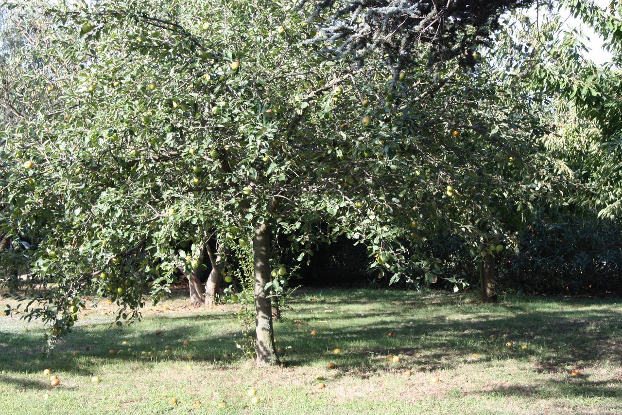 La Villa Blanc (Adults Only) Conques-sur-Orbiel Esterno foto